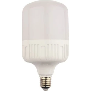 30W Smd LED Ampül E27 Duy 2700 Lm Günışığı Işık YL95-3001