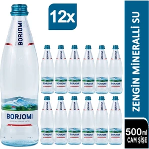 Doğal Zengin Mineralli Su 12 x 500 ml