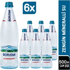 Doğal Zengin Mineralli Su 6 x 500 ml