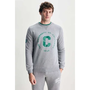 Solano Gri Bisiklet Yaka Nakışlı Standard Fit Erkek Sweatshirt