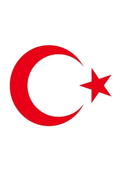 Türk Bayrağı Oto Sticker 10 x 8 cm