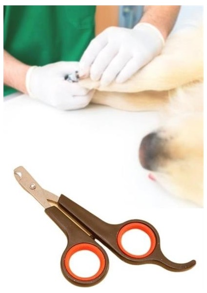 Buffer Küçük Çelik Uçlu Kedi Köpek Evcil Hayvan Tırnak Makası Pati Bakım Aleti Ergonomik Kaymaz Sap fırsatları