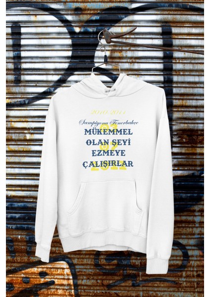 Mükemmel Olan Şeyi Ezmeye Çalışırlar Oversize Hoodie