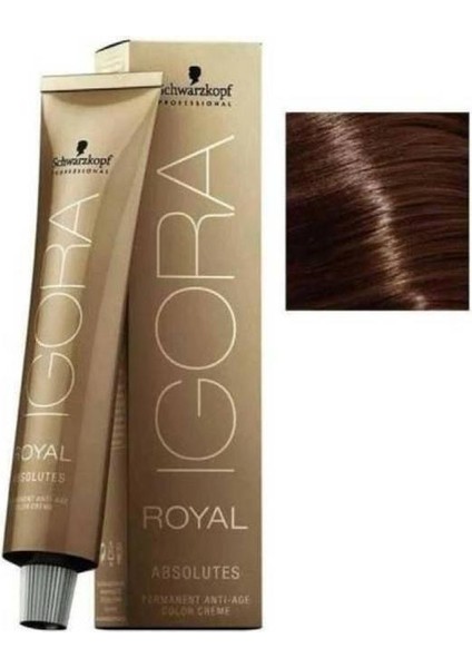 Igora Royal Absolutes 6-60 Koyu Kumral Çikolata Doğal Saç Boyası 60ML
