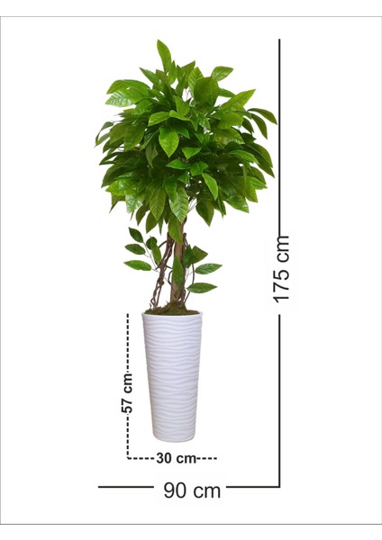 Ceviz Yapraklı Yapay Ağaç, Tek Gövde, Sarmaşık, 175CM, Saksılı