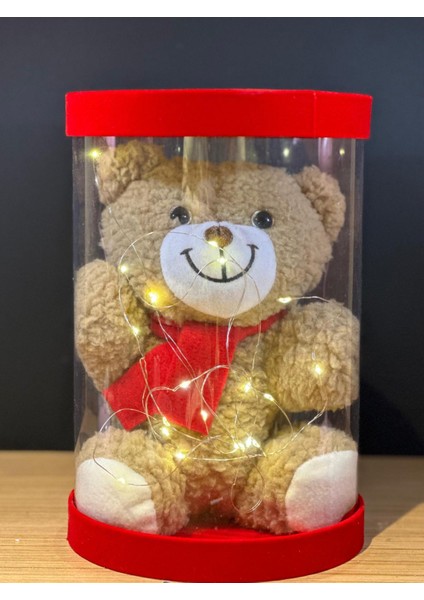 Hediye Kutulu LED Işıklı Sevimli Ayı ve Papatya Kolye modelleri