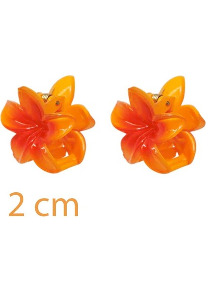 Mini Hibiscus Lüks Asetat Çiçek Mandal Toka Mini Boy 2'li Paket