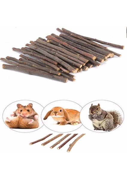 Kemirgenler Için Elma Ağacı Dalı 15 Adet