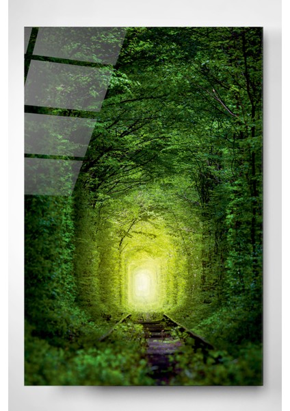 Orman Yolu Cam Tablo, Dekoratif Cam Tablo fiyatları