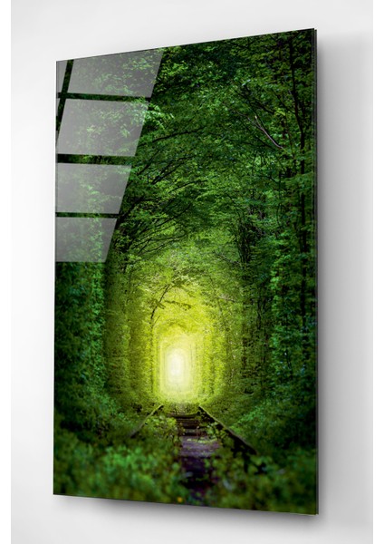 Orman Yolu Cam Tablo, Dekoratif Cam Tablo fırsatları