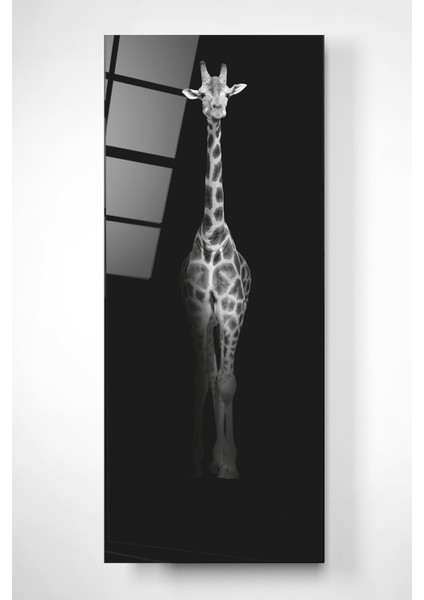 Zürafa Cam Tablo, Dekoratif Cam Tablo fiyatları