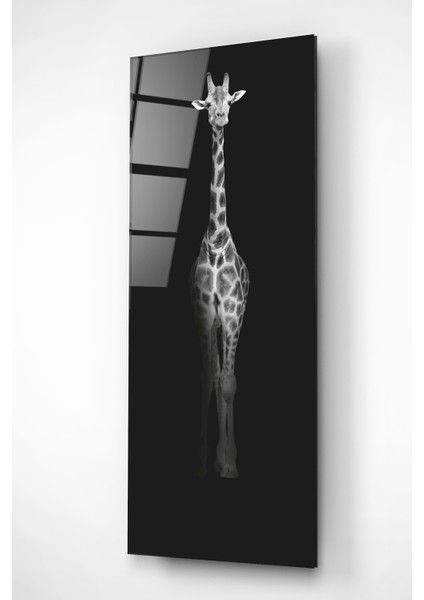 Zürafa Cam Tablo, Dekoratif Cam Tablo fırsatları