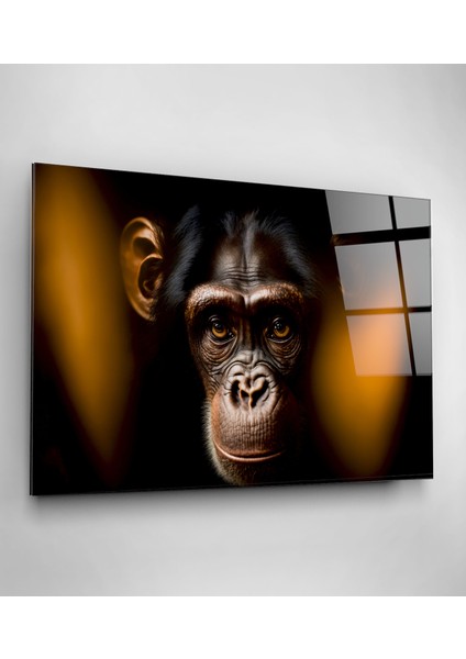 Monkey Cam Tablo, Dekoratif Cam Tablo fiyatları