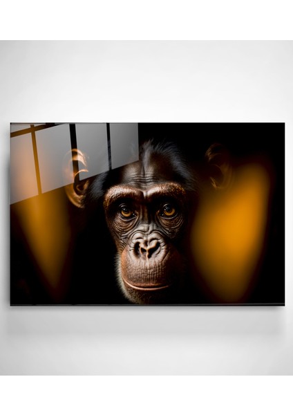 Monkey Cam Tablo, Dekoratif Cam Tablo modelleri