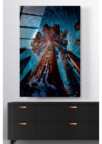 Dev Ağaç Cam Tablo, Dekoratif Cam Tablo fiyatları