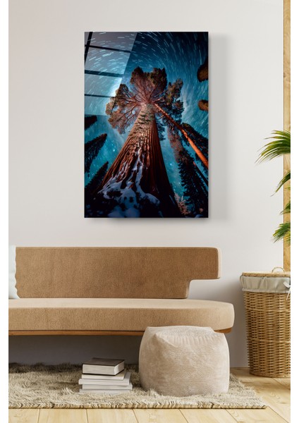 Dev Ağaç Cam Tablo, Dekoratif Cam Tablo fırsatları