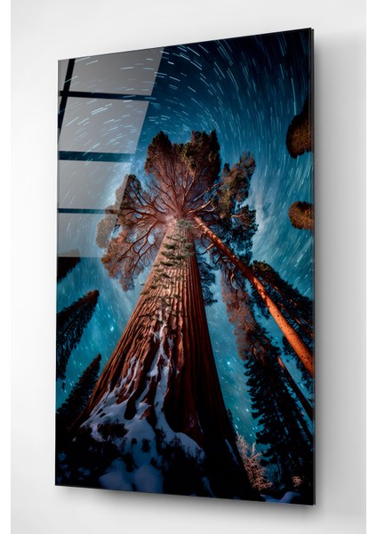 Dev Ağaç Cam Tablo, Dekoratif Cam Tablo indirimleri