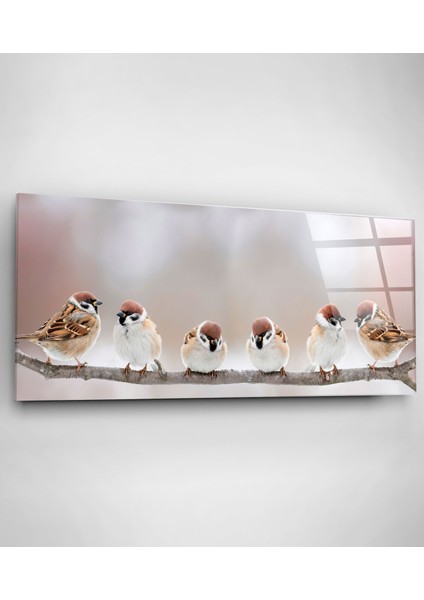 Serçeler Cam Tablo, Dekoratif Cam Tablo fiyatları