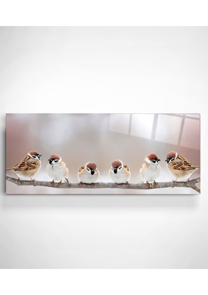 Serçeler Cam Tablo, Dekoratif Cam Tablo modelleri