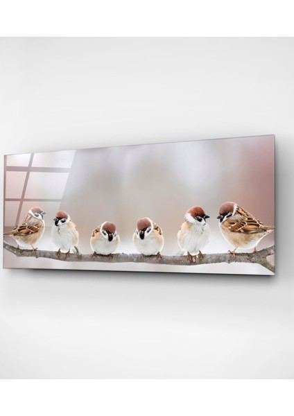 Serçeler Cam Tablo, Dekoratif Cam Tablo fırsatları