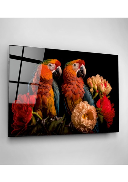 Papağanlar Cam Tablo, Dekoratif Cam Tablo modelleri