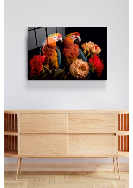 Papağanlar Cam Tablo, Dekoratif Cam Tablo fırsatları