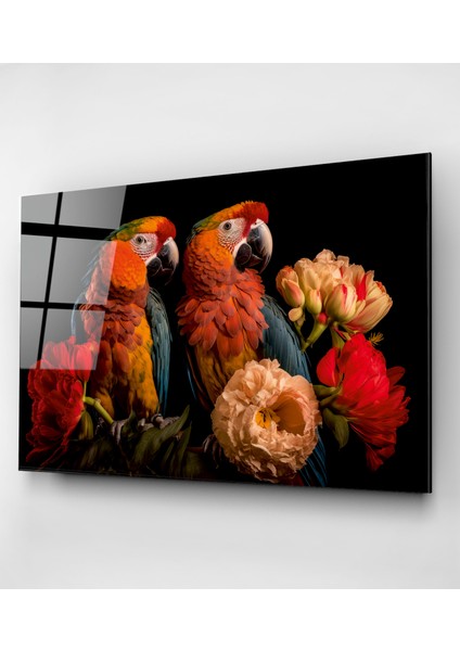 Papağanlar Cam Tablo, Dekoratif Cam Tablo indirimleri