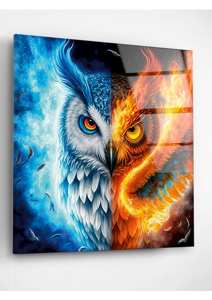 Baykuş Cam Tablo, Dekoratif Cam Tablo fiyatları