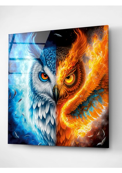 Baykuş Cam Tablo, Dekoratif Cam Tablo fırsatları