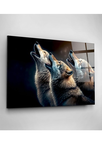 Kurt Cam Tablo, Dekoratif Cam Tablo modelleri