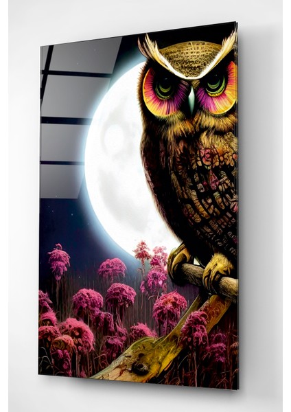 Dolunay ve Baykuş Cam Tablo, Dekoratif Cam Tablo indirimleri