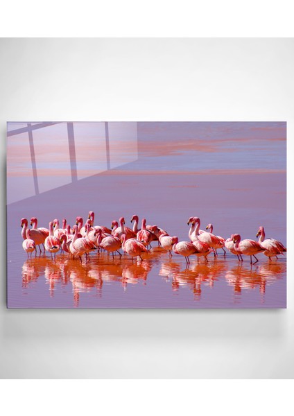 Flamingolar Cam Tablo, Dekoratif Cam Tablo fiyatları