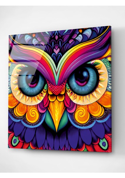 Renk Cümbüşü Baykuş Cam Tablo, Dekoratif Cam Tablo fırsatları