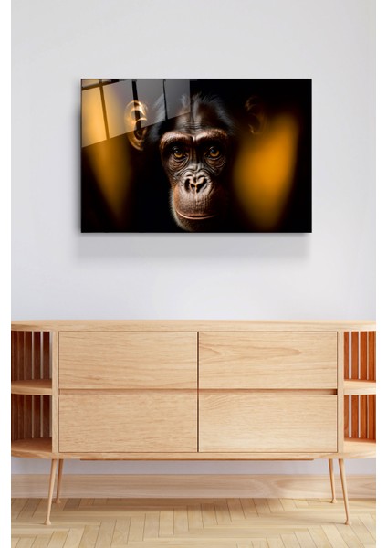 Monkey Cam Tablo, Dekoratif Cam Tablo
