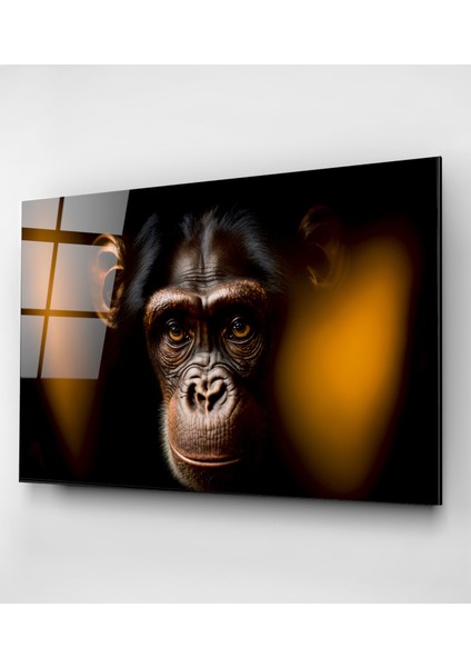 Monkey Cam Tablo, Dekoratif Cam Tablo fırsatları