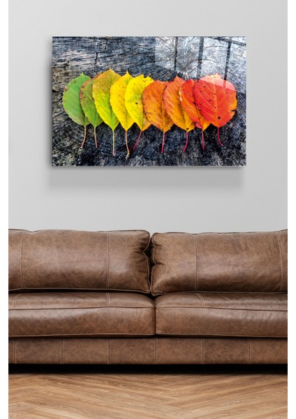 Renk Geçişli Yapraklar Cam Tablo, Dekoratif Cam Tablo