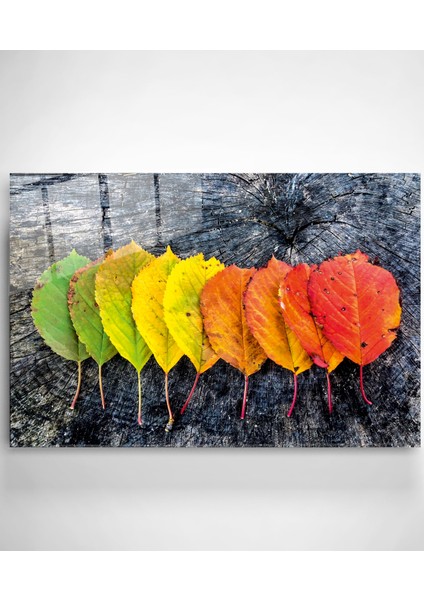 Renk Geçişli Yapraklar Cam Tablo, Dekoratif Cam Tablo fiyatları