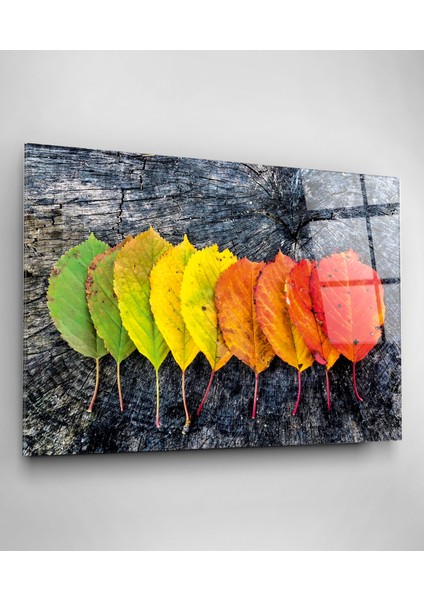 Renk Geçişli Yapraklar Cam Tablo, Dekoratif Cam Tablo modelleri