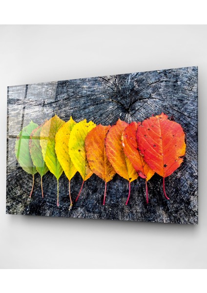 Renk Geçişli Yapraklar Cam Tablo, Dekoratif Cam Tablo fırsatları