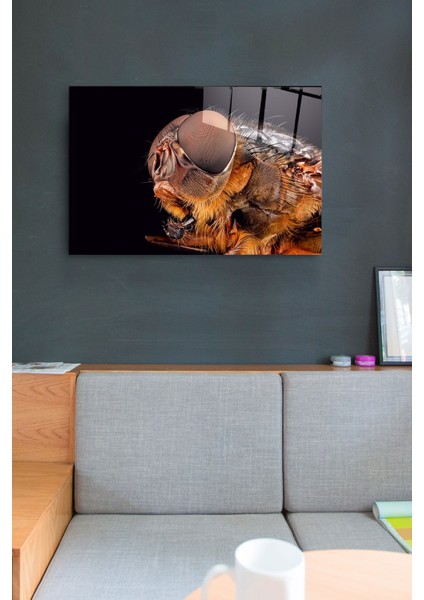 Arı Cam Tablo, Dekoratif Cam Tablo