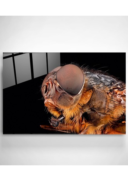 Arı Cam Tablo, Dekoratif Cam Tablo fiyatları