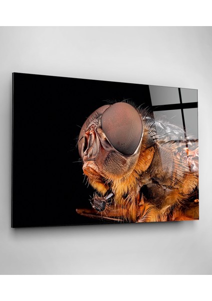 Arı Cam Tablo, Dekoratif Cam Tablo modelleri