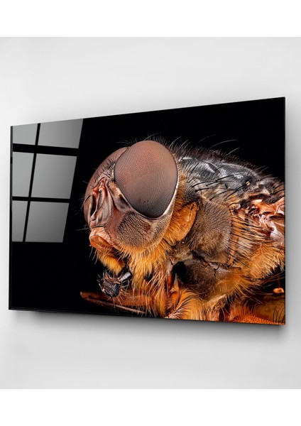 Arı Cam Tablo, Dekoratif Cam Tablo fırsatları