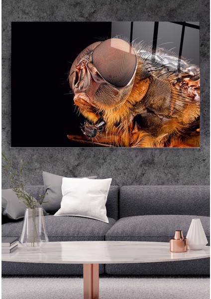 Arı Cam Tablo, Dekoratif Cam Tablo indirimleri