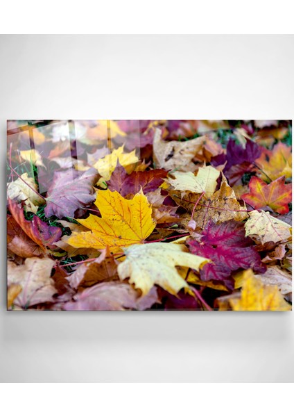 Dökülen Yapraklar Cam Tablo, Dekoratif Cam Tablo fiyatları