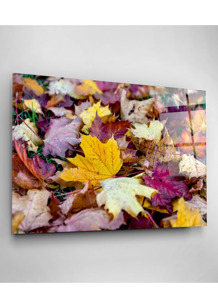 Dökülen Yapraklar Cam Tablo, Dekoratif Cam Tablo modelleri