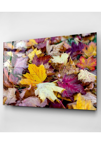 Dökülen Yapraklar Cam Tablo, Dekoratif Cam Tablo indirimleri