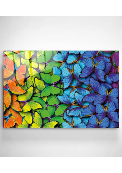 Colorful Butterflies Cam Tablo, Dekoratif Cam Tablo fiyatları