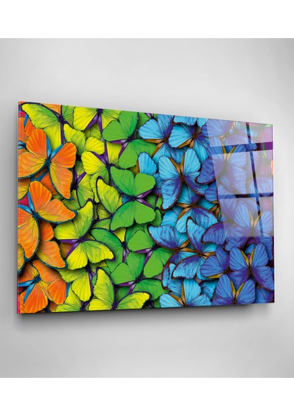Colorful Butterflies Cam Tablo, Dekoratif Cam Tablo modelleri
