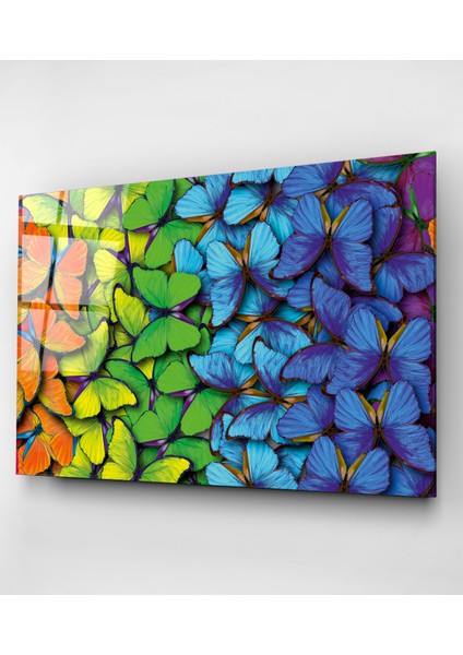 Colorful Butterflies Cam Tablo, Dekoratif Cam Tablo indirimleri